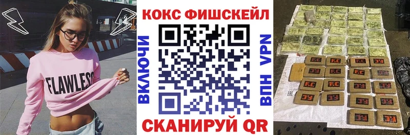 COCAIN Fish Scale  Купить где  Новоаннинский 