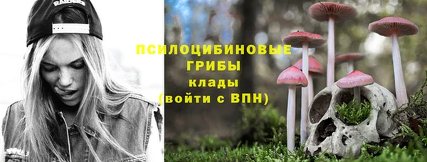 тгк Иннополис