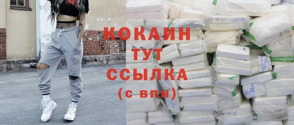 ешки Инсар